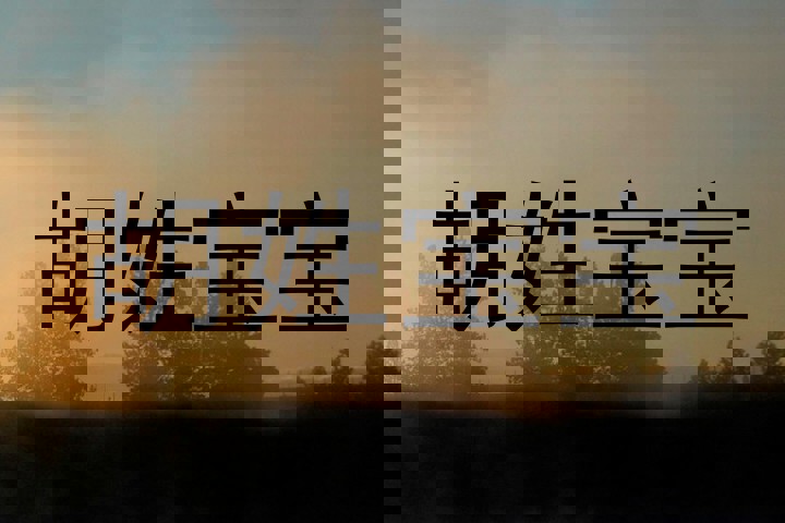 胡姓宝宝