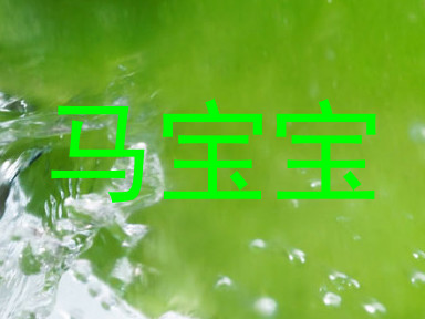 马宝宝