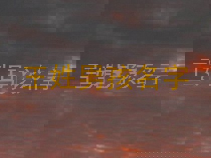 王姓男孩名字