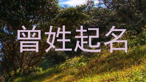 曾姓起名