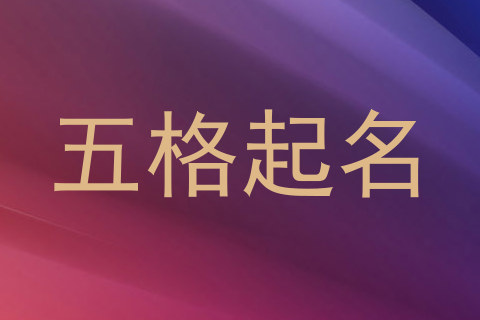 五格起名