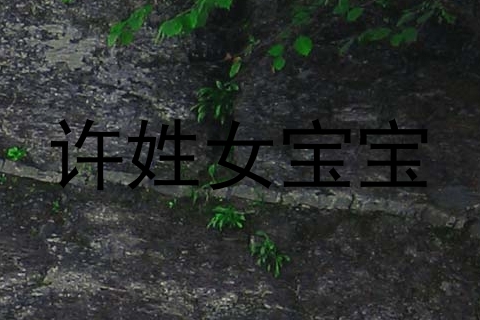 许姓女宝宝