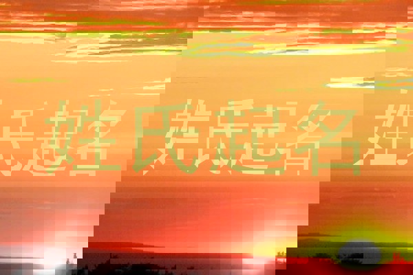 姓氏起名