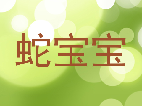 蛇宝宝