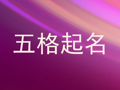 五格起名