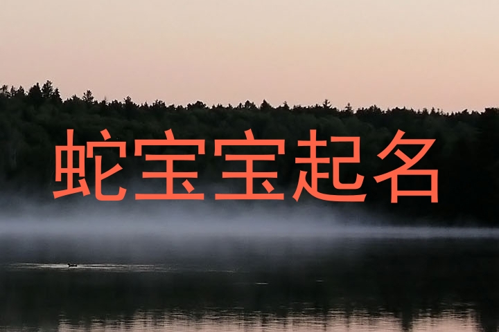 蛇宝宝起名