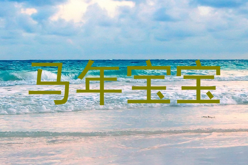 马年宝宝