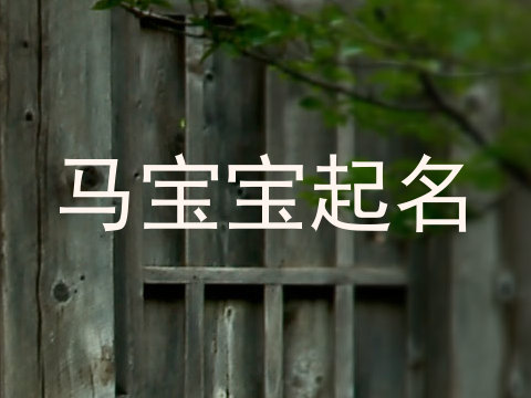 马宝宝起名
