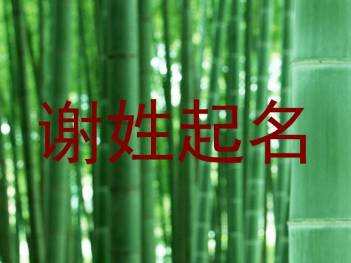 谢姓起名