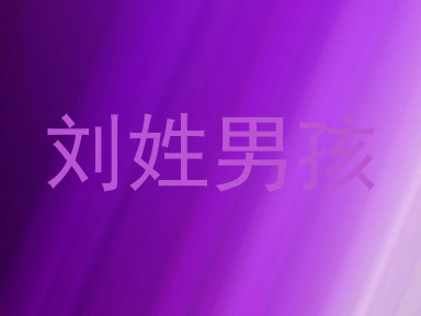 刘姓男孩
