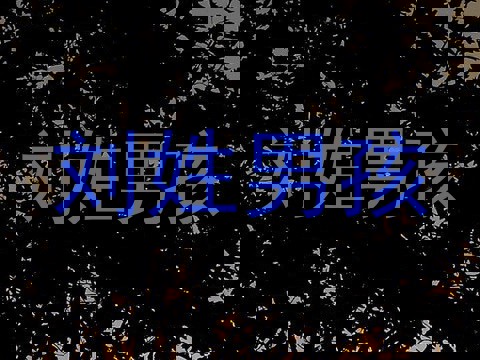 刘姓男孩