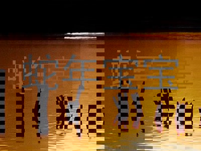 蛇年宝宝