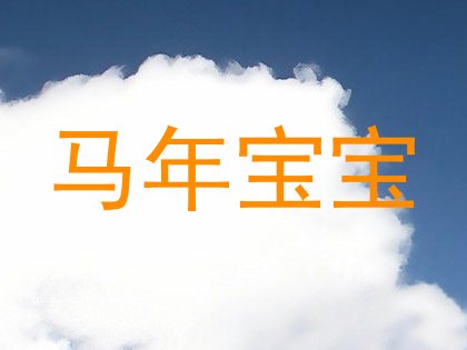 马年宝宝