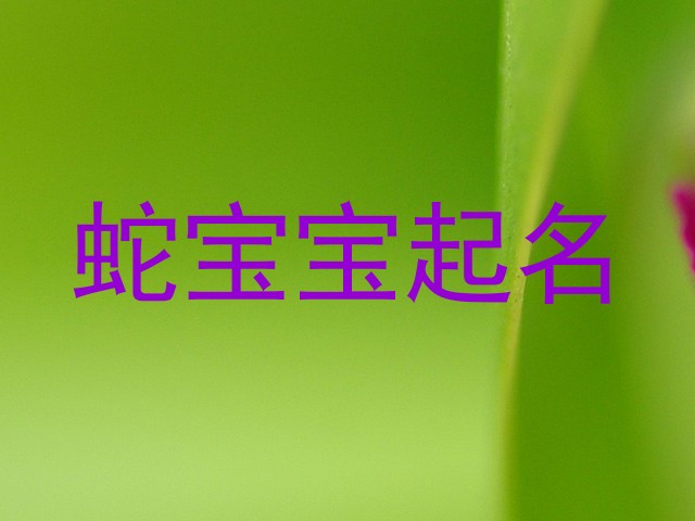 蛇宝宝起名