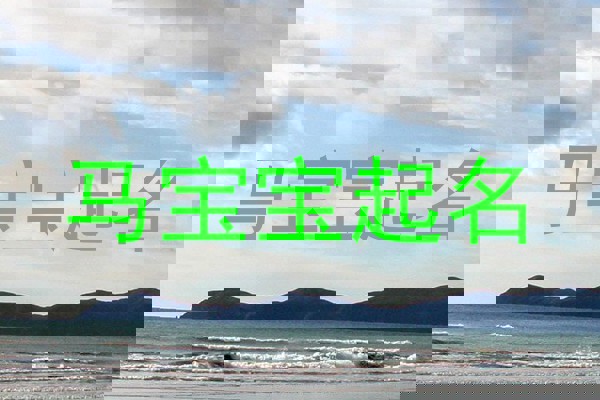 马宝宝起名
