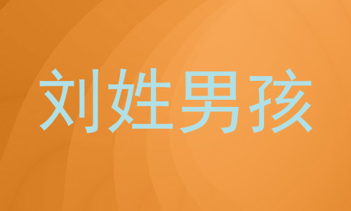刘姓男孩