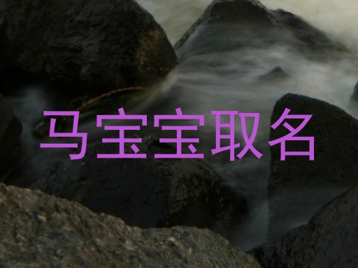 马宝宝取名