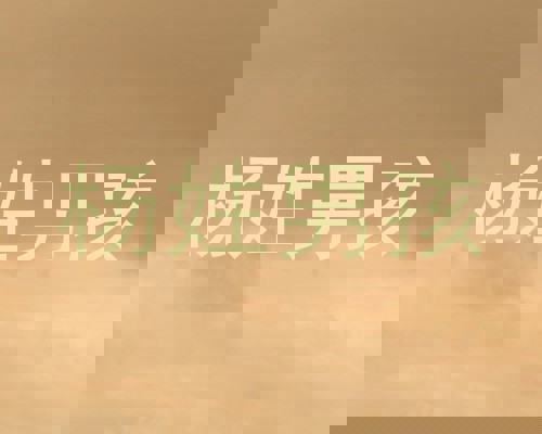 杨姓男孩