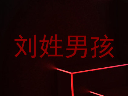 刘姓男孩