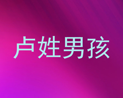 卢姓男孩