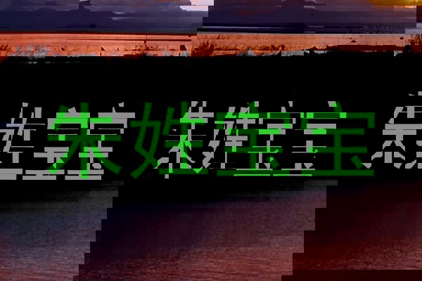朱姓宝宝