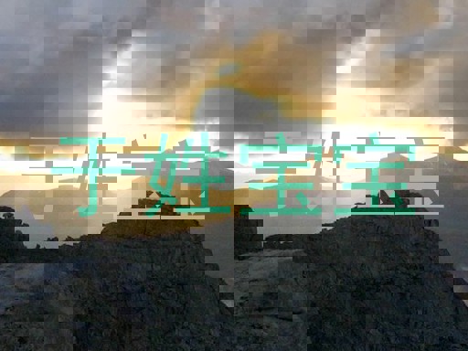 于姓宝宝