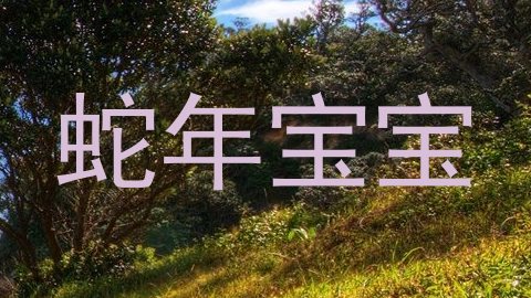蛇年宝宝