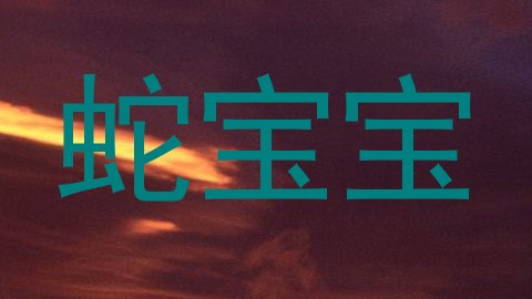 蛇宝宝
