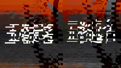 五格起名