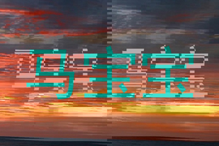 马宝宝