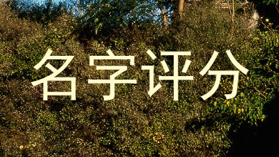 名字评分