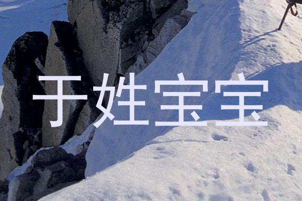 于姓宝宝