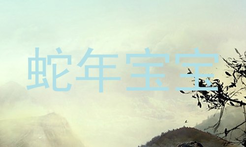 蛇年宝宝