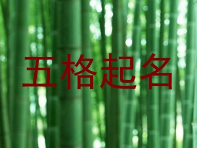 五格起名