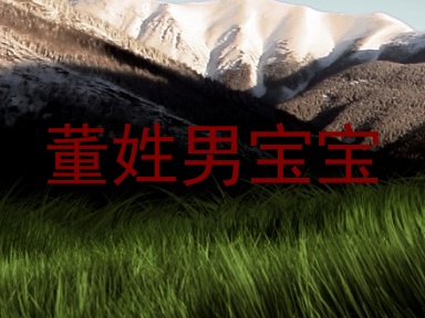 董姓男宝宝