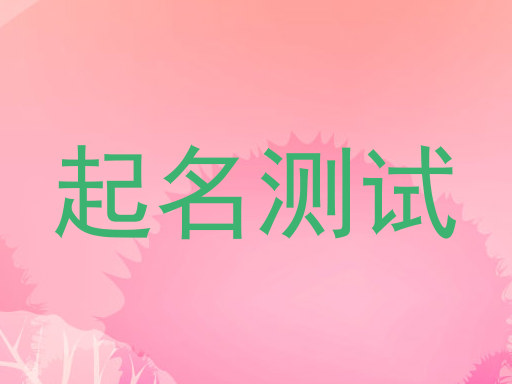 起名测试
