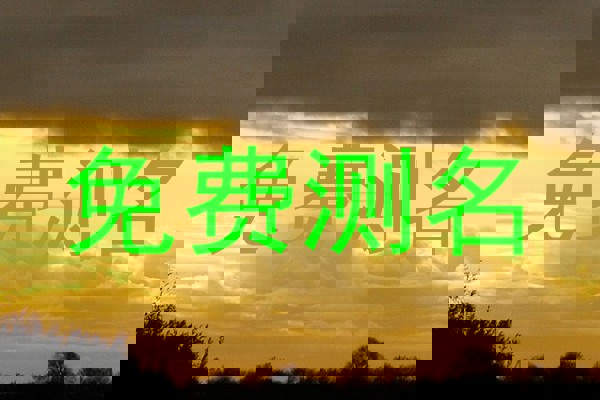 免费测名