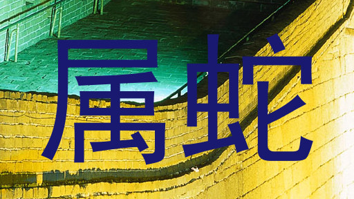属蛇