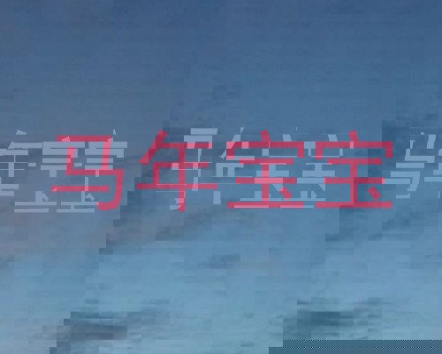 马年宝宝