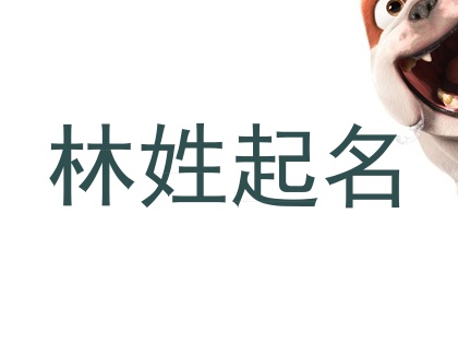 林姓起名