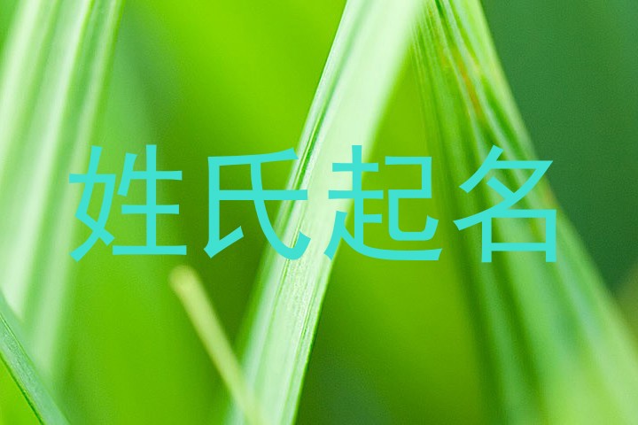 姓氏起名