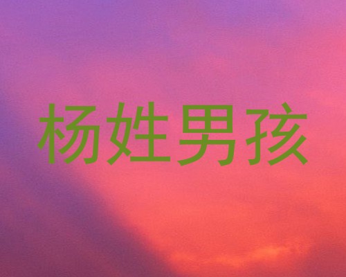 杨姓男孩