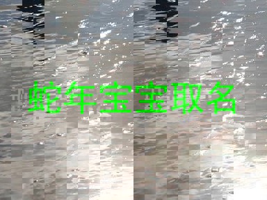 蛇年宝宝取名