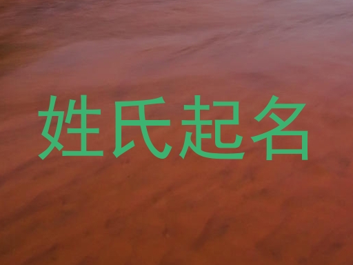 姓氏起名