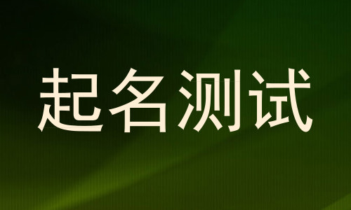 起名测试