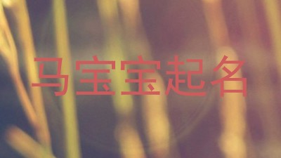 马宝宝起名