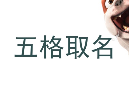 五格取名