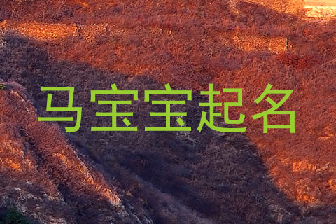 马宝宝起名
