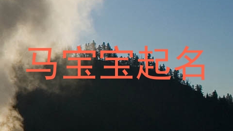马宝宝起名