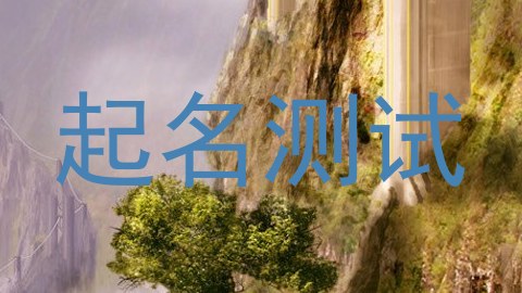 起名测试